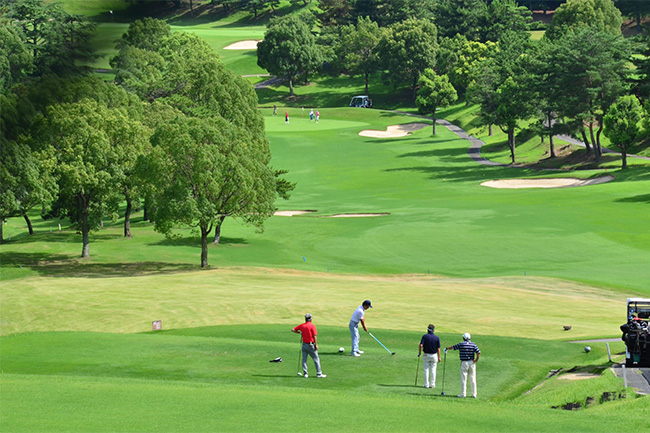 ゴルフの練習は週何回 毎日 コースデビューまでに身につけておくことは レジャーゴルフのサイト Caddy キャディ